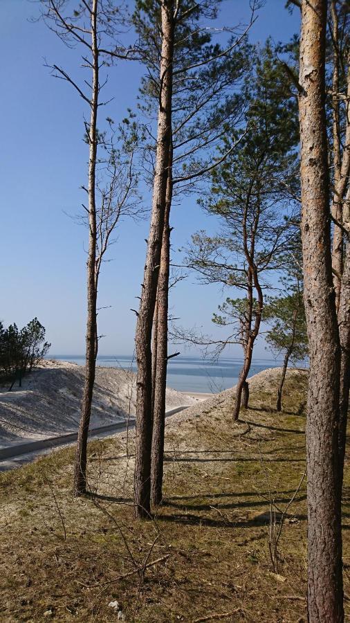 Apartament Premium Baltic House Międzywodzie Εξωτερικό φωτογραφία